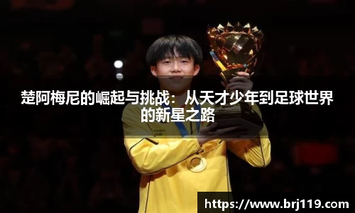 MILE米乐官方网站